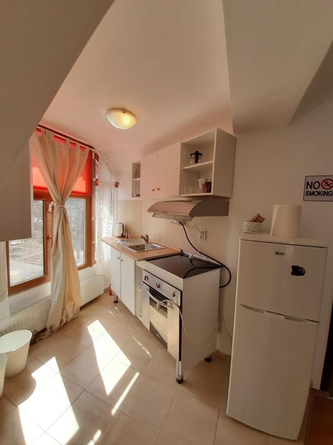 Casa Olguta Apartament
