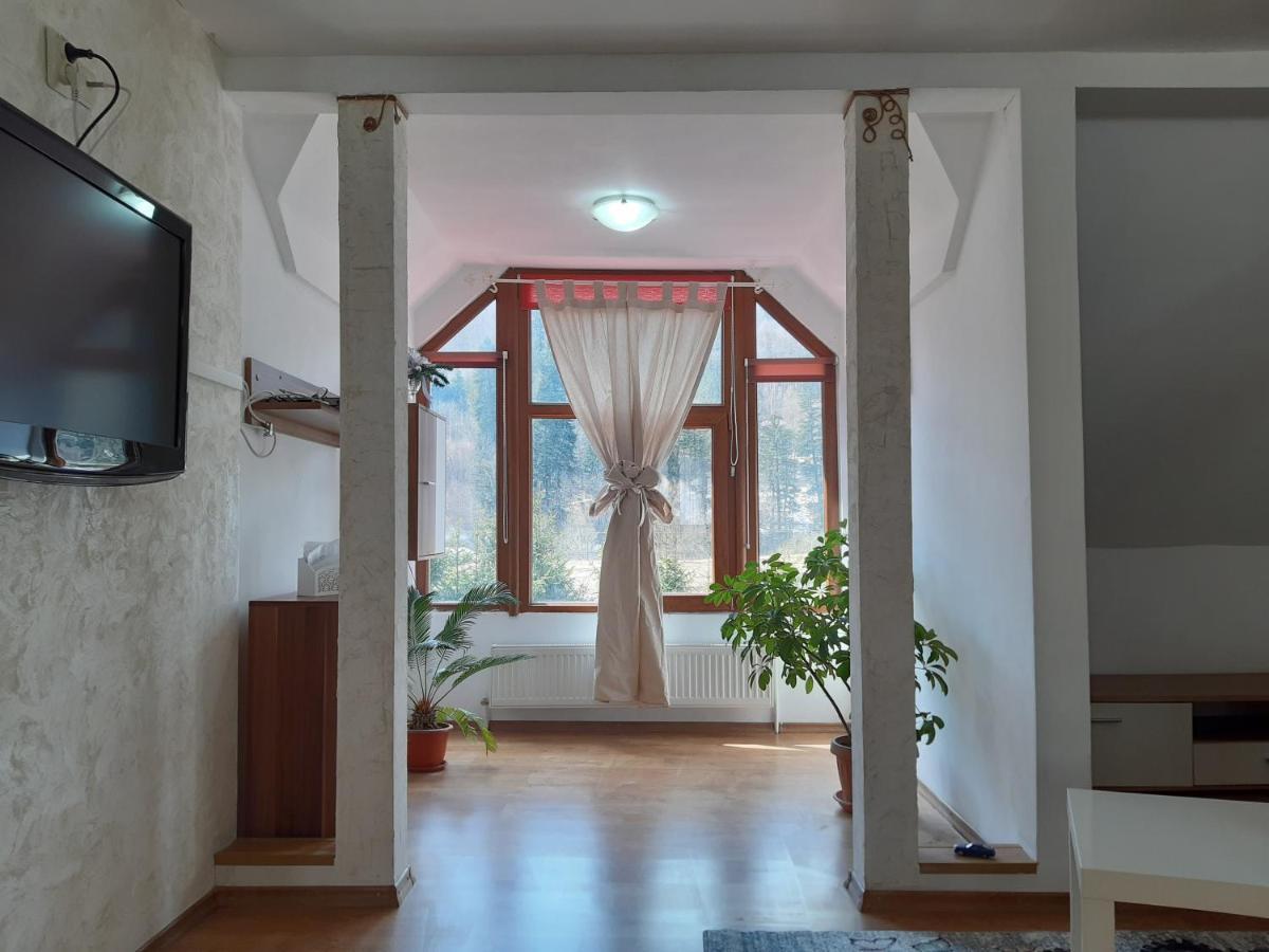 Casa Olguta *