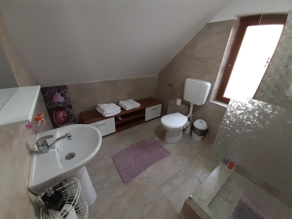 Apartament Casa Olguta