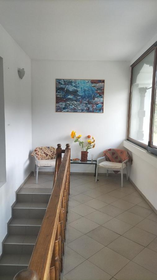 Apartament Casa Olguta Sinaia