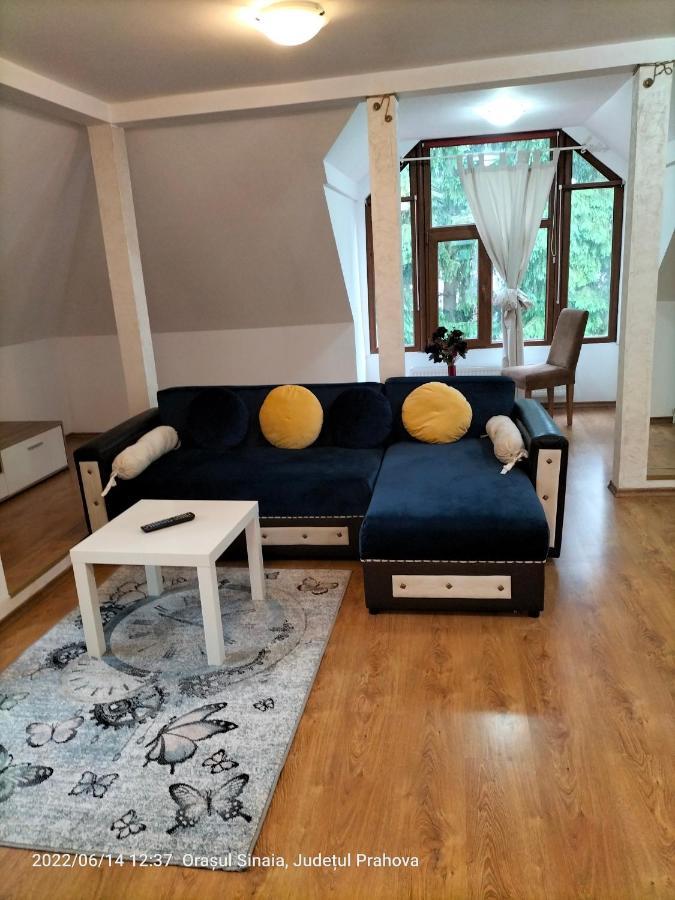 Apartament Casa Olguta *