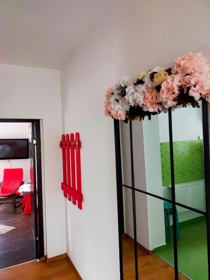 Apartament Casa Olguta Sinaia