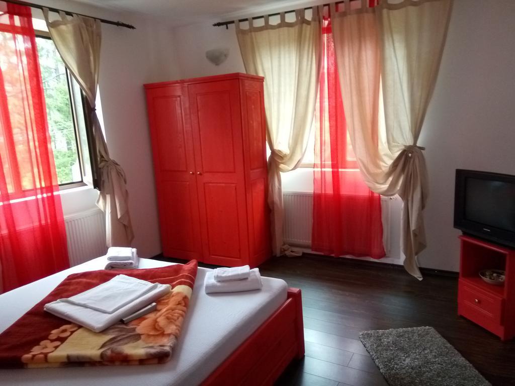 Apartament Casa Olguta Sinaia