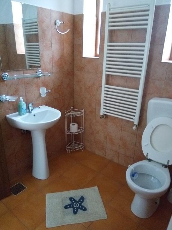 Apartament Casa Olguta