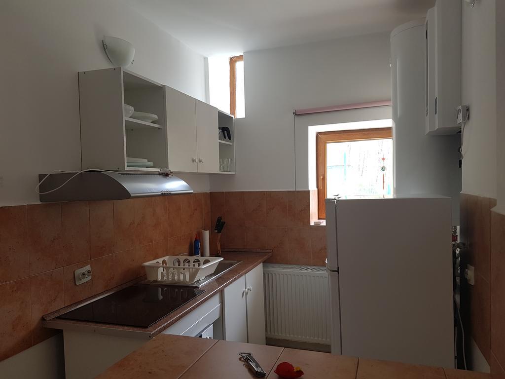 Apartament Casa Olguta Sinaia