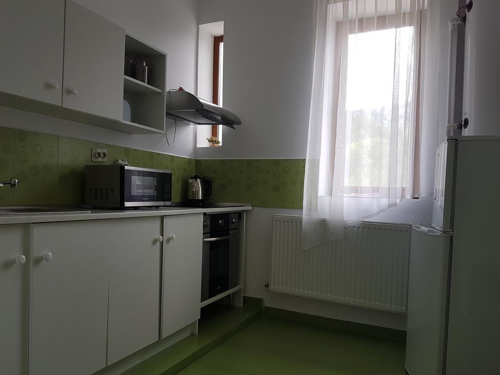 Apartament Casa Olguta *