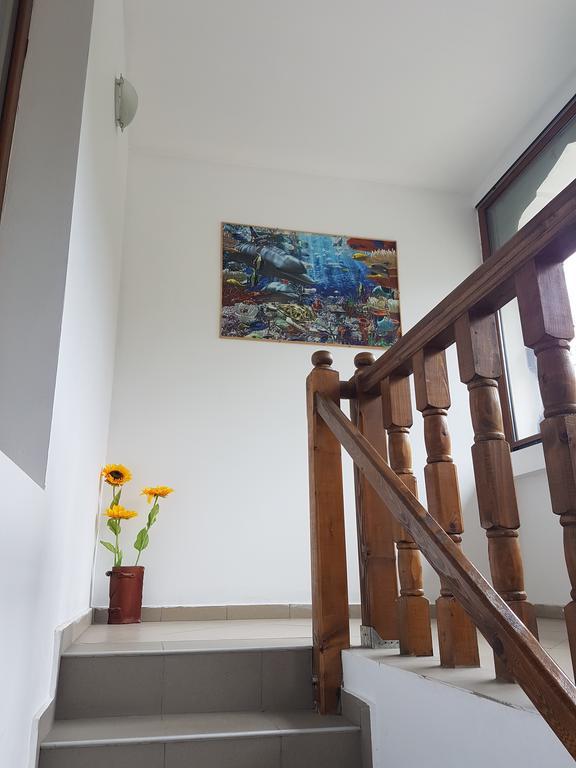 Apartament Casa Olguta Sinaia
